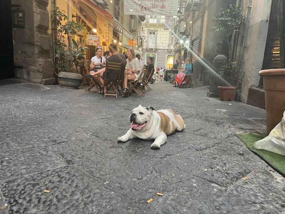 ナポリLa Casa Di Sarah Aspetta Voiアパートメント エクステリア 写真